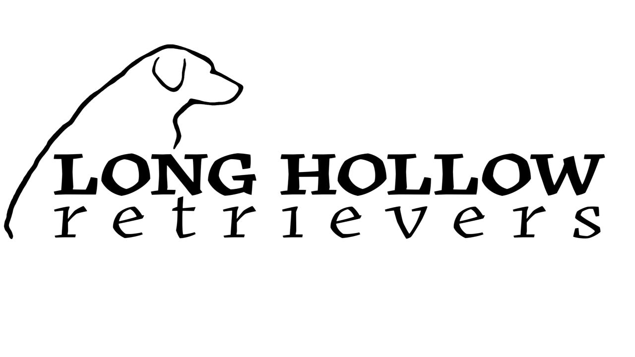 Long Hollow Retrievers