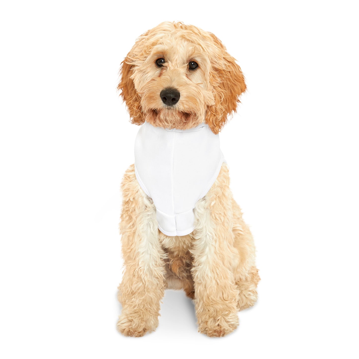 Canine Detail - Pet Hoodie